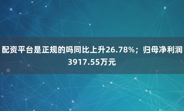 配资平台是正规的吗同比上升26.78%；归母净利润3917.55万元