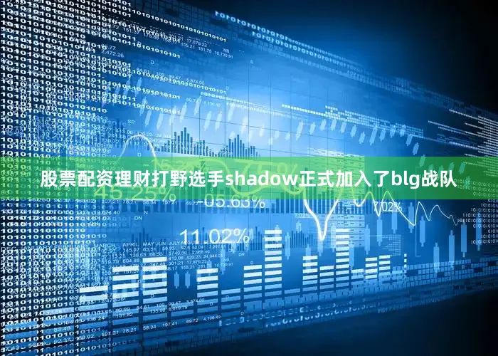 股票配资理财打野选手shadow正式加入了blg战队