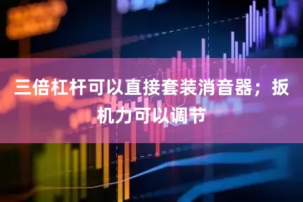 三倍杠杆可以直接套装消音器；扳机力可以调节