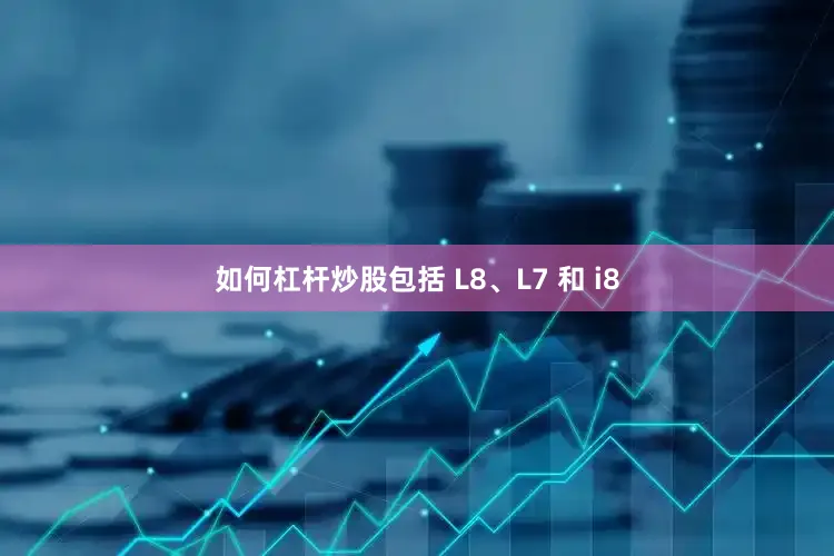 如何杠杆炒股包括 L8、L7 和 i8