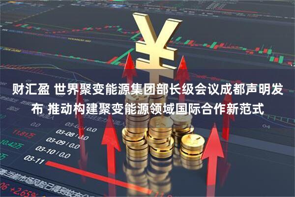 财汇盈 世界聚变能源集团部长级会议成都声明发布 推动构建聚变能源领域国际合作新范式