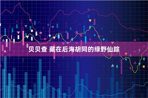 贝贝查 藏在后海胡同的绿野仙踪