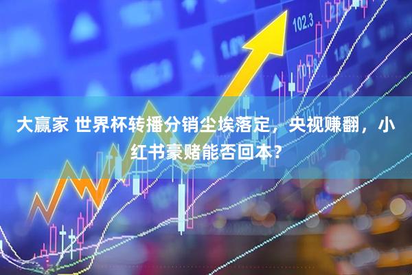 大赢家 世界杯转播分销尘埃落定，央视赚翻，小红书豪赌能否回本？
